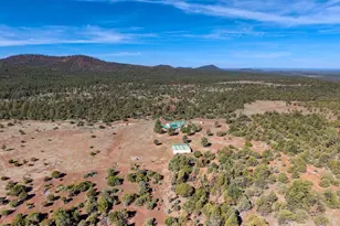 4 N 3163, Vernon, AZ 85940 - Photo 81