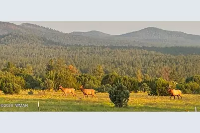 4 N 3163, Vernon, AZ 85940 - Photo 87