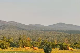 4 N 3163, Vernon, AZ 85940 - Photo 87