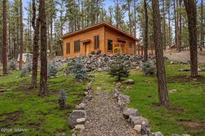 24 County Rd 2267, Alpine, AZ 85920 - Photo 3