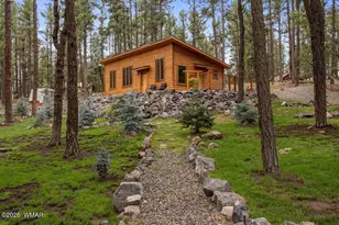 24 Co Rd 2267, Alpine, AZ 85920 - Photo 3