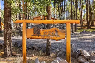 24 Co Rd 2267, Alpine, AZ 85920 - Photo 49