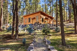 24 Co Rd 2267, Alpine, AZ 85920 - Photo 39