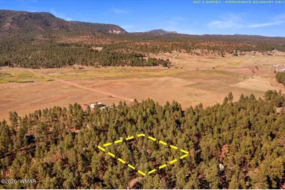 24 County Rd 2267, Alpine, AZ 85920 - Photo 59