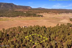 24 Co Rd 2267, Alpine, AZ 85920 - Photo 59