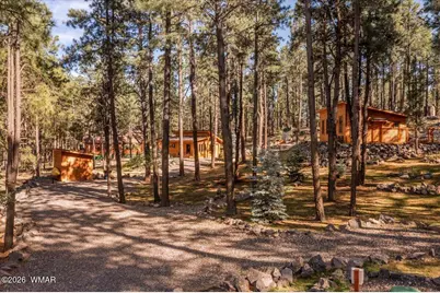 24 County Rd 2267, Alpine, AZ 85920 - Photo 55