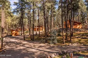 24 Co Rd 2267, Alpine, AZ 85920 - Photo 55