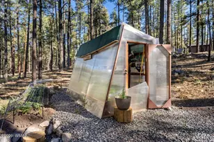 24 Co Rd 2267, Alpine, AZ 85920 - Photo 47