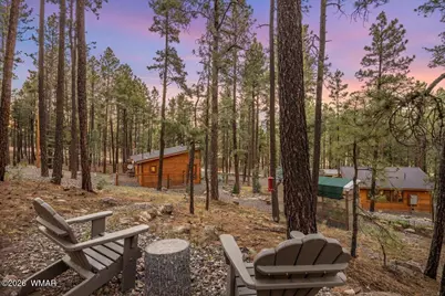 24 County Rd 2267, Alpine, AZ 85920 - Photo 29