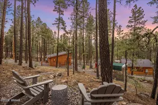 24 Co Rd 2267, Alpine, AZ 85920 - Photo 29