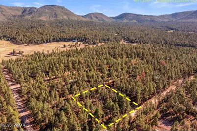 24 County Rd 2267, Alpine, AZ 85920 - Photo 55