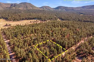 24 Co Rd 2267, Alpine, AZ 85920 - Photo 55