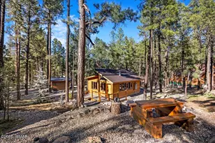 24 Co Rd 2267, Alpine, AZ 85920 - Photo 53
