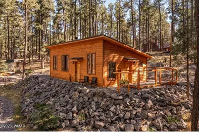 24 County Rd 2267, Alpine, AZ 85920 - Photo 51
