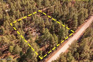 24 Co Rd 2267, Alpine, AZ 85920 - Photo 61