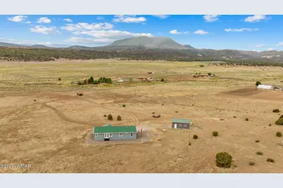 41202 US 180, Nutrioso, AZ 85932 - Photo 45