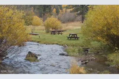 Cabin 89 Rohrer Road, Greer, AZ 85927 - Photo 19