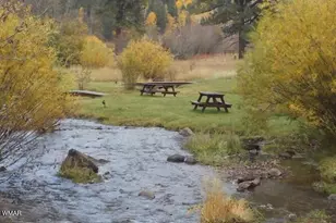 Cabin 89 Rohrer Rd, Greer, AZ 85927 - Photo 19