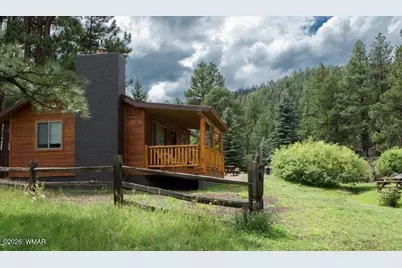 Cabin 89 Rohrer Road, Greer, AZ 85927 - Photo 3