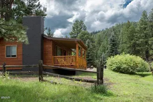 Cabin 89 Rohrer Rd, Greer, AZ 85927 - Photo 3