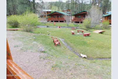 Cabin 89 Rohrer Road, Greer, AZ 85927 - Photo 21