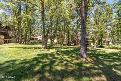 3744 Crown Dancer Drive, Pinetop, AZ 85935 - Photo 43