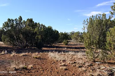 9070 Pinto Trail, Show Low, AZ 85901 - Photo 11