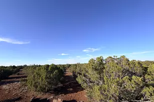 9070 Pinto Trail, Show Low, AZ 85901 - Photo 25
