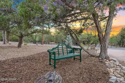 1281 Thinleaf Lane, Show Low, AZ 85901 - Photo 47