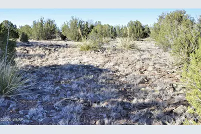 17C Gampel Lane, Show Low, AZ 85901 - Photo 13