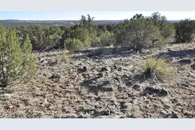 17C Gampel Lane, Show Low, AZ 85901 - Photo 11