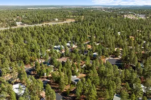 1001 S Cherokee Dr, Show Low, AZ 85901 - Photo 29