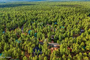 6346 Christmas Tree Cir, Pinetop, AZ 85935 - Photo 45