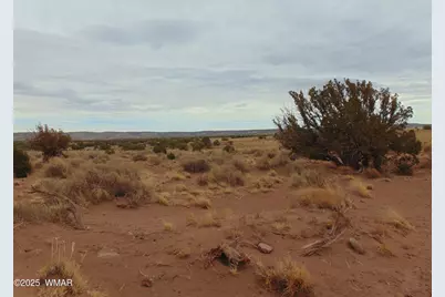 42 N5576, Concho, AZ 85924 - Photo 9