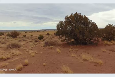 42 N5576, Concho, AZ 85924 - Photo 7