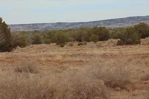42 N 5576, Concho, AZ 85924 - Photo 1
