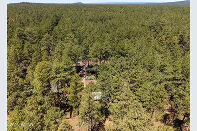 8745 Country Club Drive, Pinetop, AZ 85935 - Photo 35