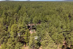 8745 Country Club Dr, Pinetop, AZ 85935 - Photo 35