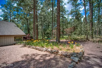 3280 Red Robin Road, Pinetop, AZ 85935 - Photo 49