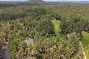 3280 Red Robin Rd, Pinetop, AZ 85935 - Photo 51