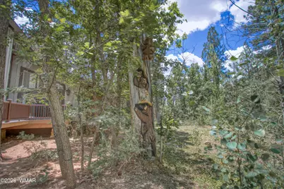 3280 Red Robin Road, Pinetop, AZ 85935 - Photo 53