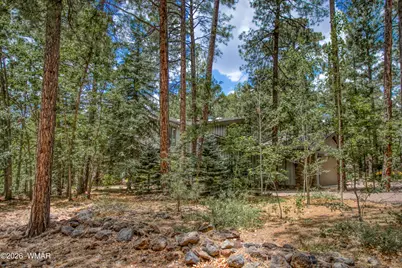 3280 Red Robin Road, Pinetop, AZ 85935 - Photo 47