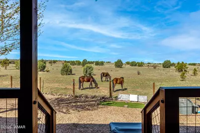 2660 Palomino Trail, Overgaard, AZ 85933 - Photo 37