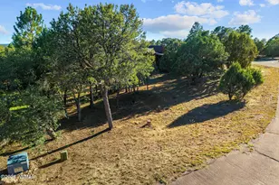 2207 4 Point Cir, Overgaard, AZ 85933 - Photo 43