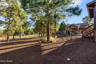 2207 4 Point Cir, Overgaard, AZ 85933 - Photo 31