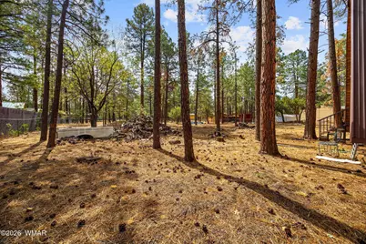 2861 Angel Trail, Overgaard, AZ 85933 - Photo 17