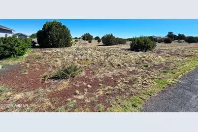 8410 Lake View Drive, Show Low, AZ 85901 - Photo 5