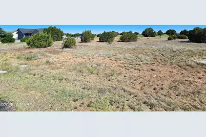 8410 Lake View Drive, Show Low, AZ 85901 - Photo 7