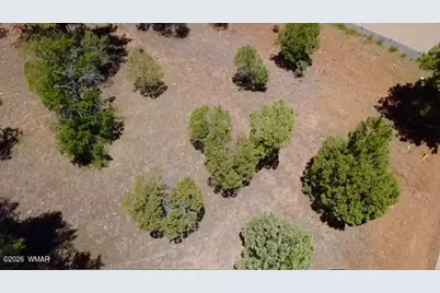 1180 S Lakeside Trail, Show Low, AZ 85901 - Photo 3