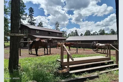3417 Roaring Fork Drive, Pinetop, AZ 85935 - Photo 57